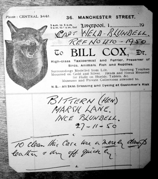Bill Cox