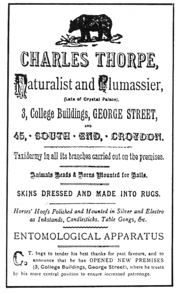 Charles Thorpe