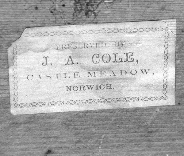 Cole of Norwich