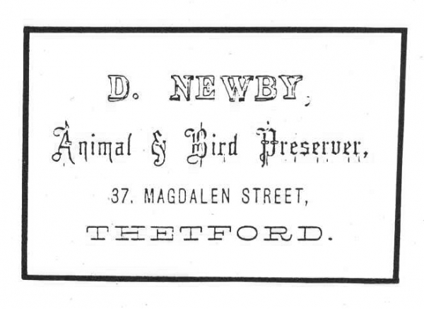David Newby