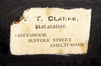 E.T Clarke