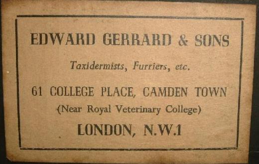 Gerrard's
