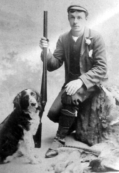 Hutchings