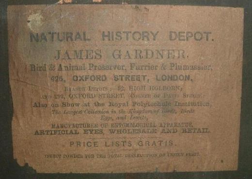 James Gardner
