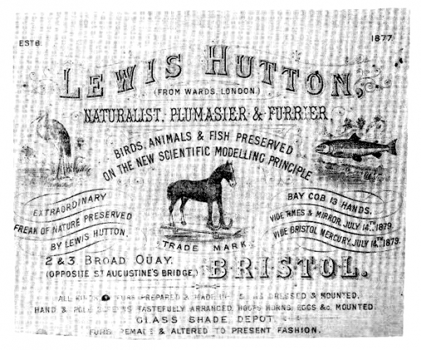 Lewis Hutton