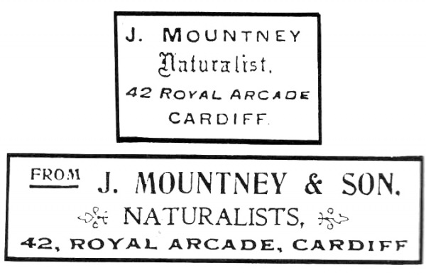 Mountney
