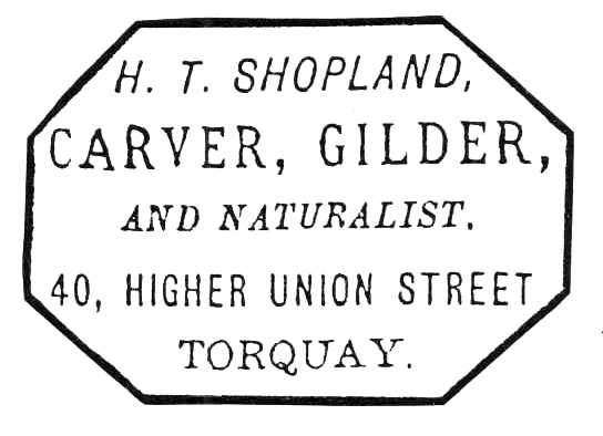  Shopland