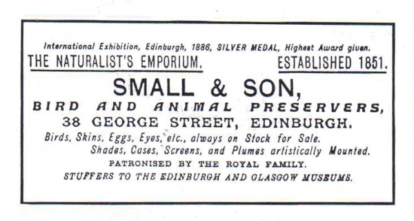  Small