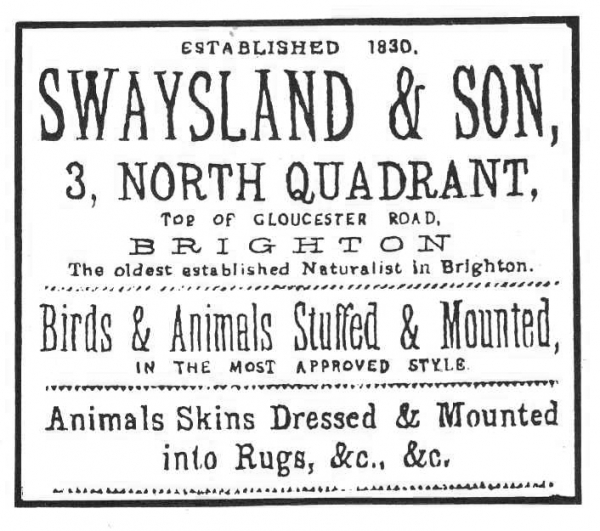  Swaysland & Son