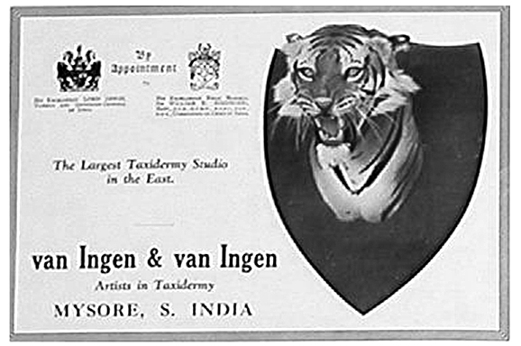Van Ingen