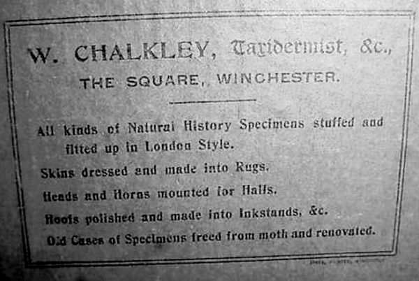 W Chalkley