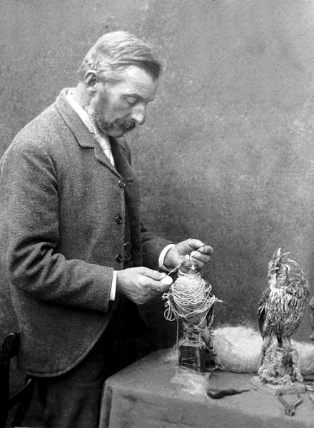 Walter Potter
