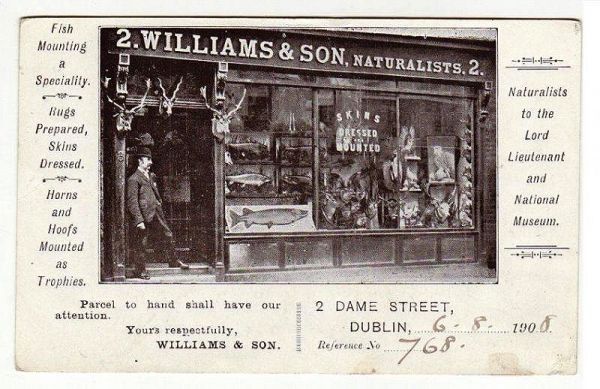  Williams Of Dublin