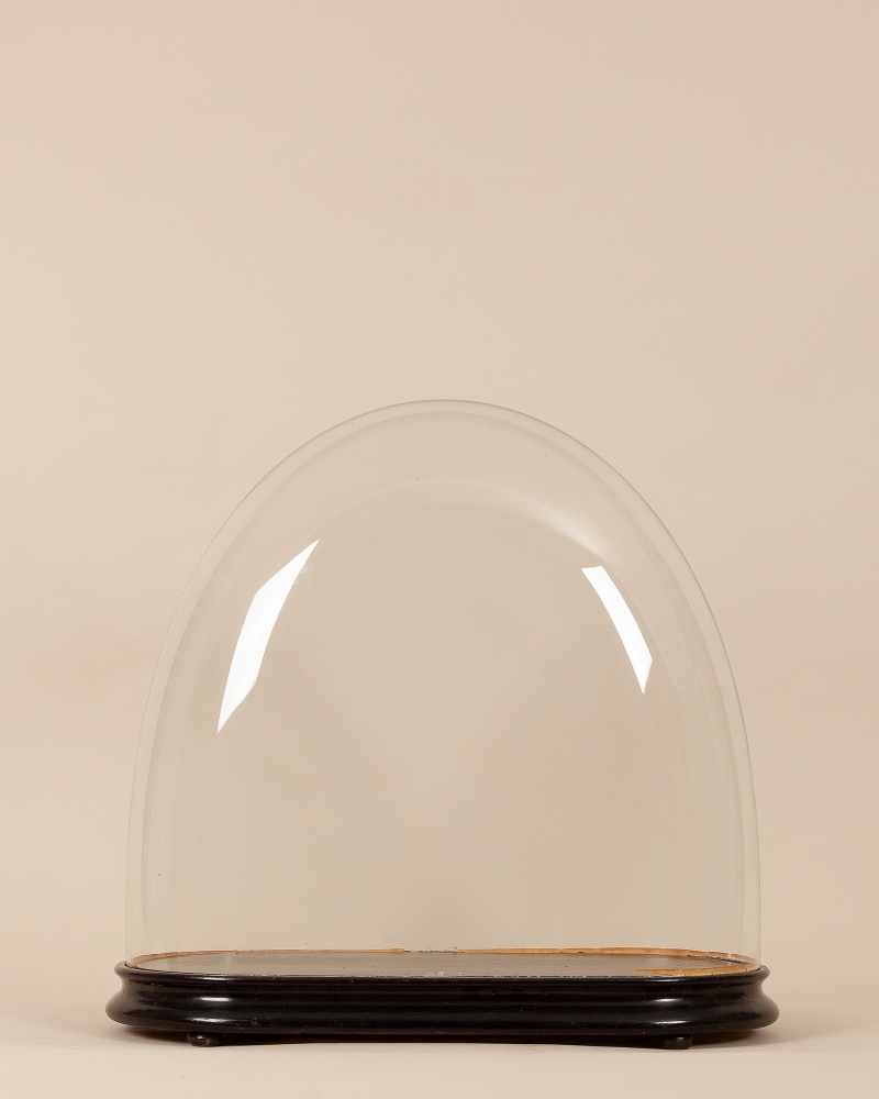 ANTIQUE OVAL GLASS DOME