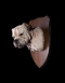 British Bulldog Head