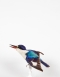 Taxidermy Forest Kingfisher