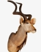 Taxidermy Greater Kudu