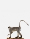 Taxidermy Vervet Monkey